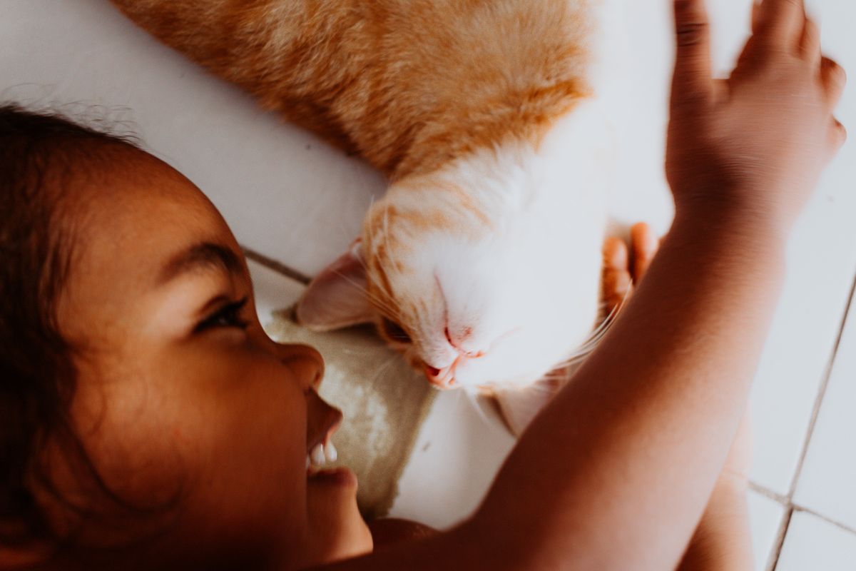Criança sorrindo enquanto faz carinho em um gato