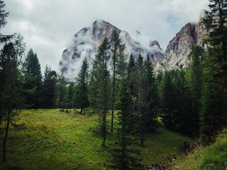 Cortina Dampezzo, Italy photo 21