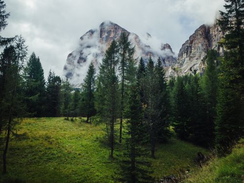 Free Breathtaking view of misty mountains and lush forest in Cortina d’Ampezzo, Italy. Stock Photo