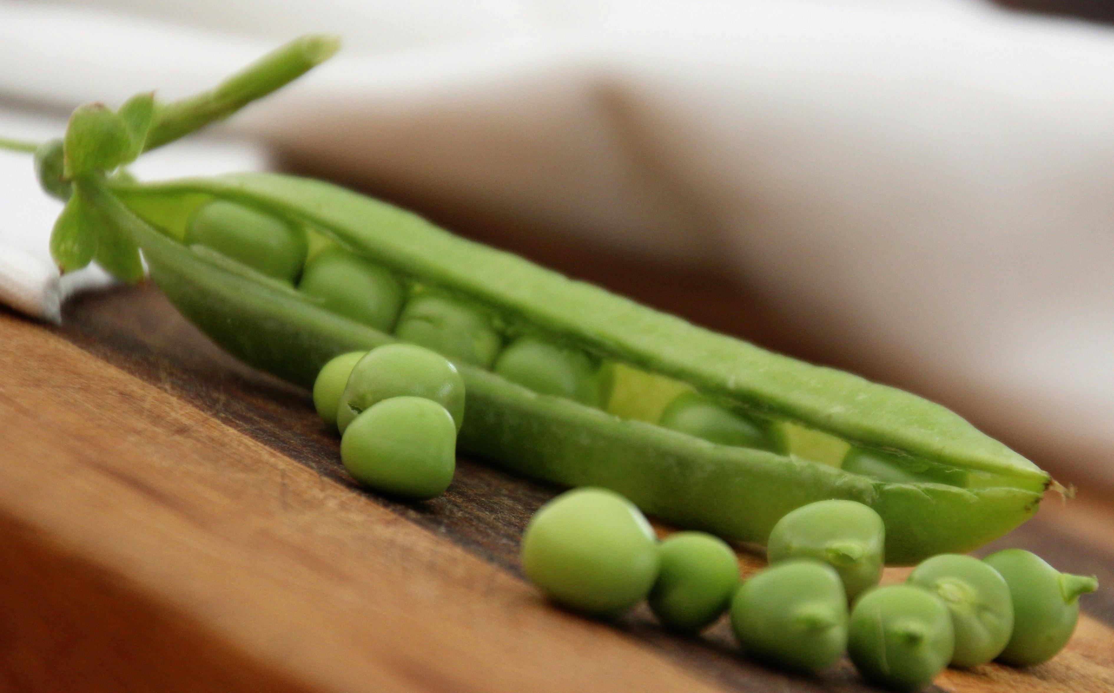 Free stock photo of peas