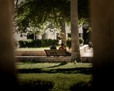 Two people enjoy a sunny day on a bench in a quiet Kuwait City park.