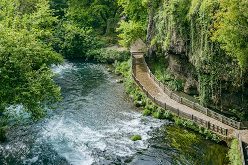 Безкоштовне стокове фото на тему «дерева, зелений, знімок із дрона»