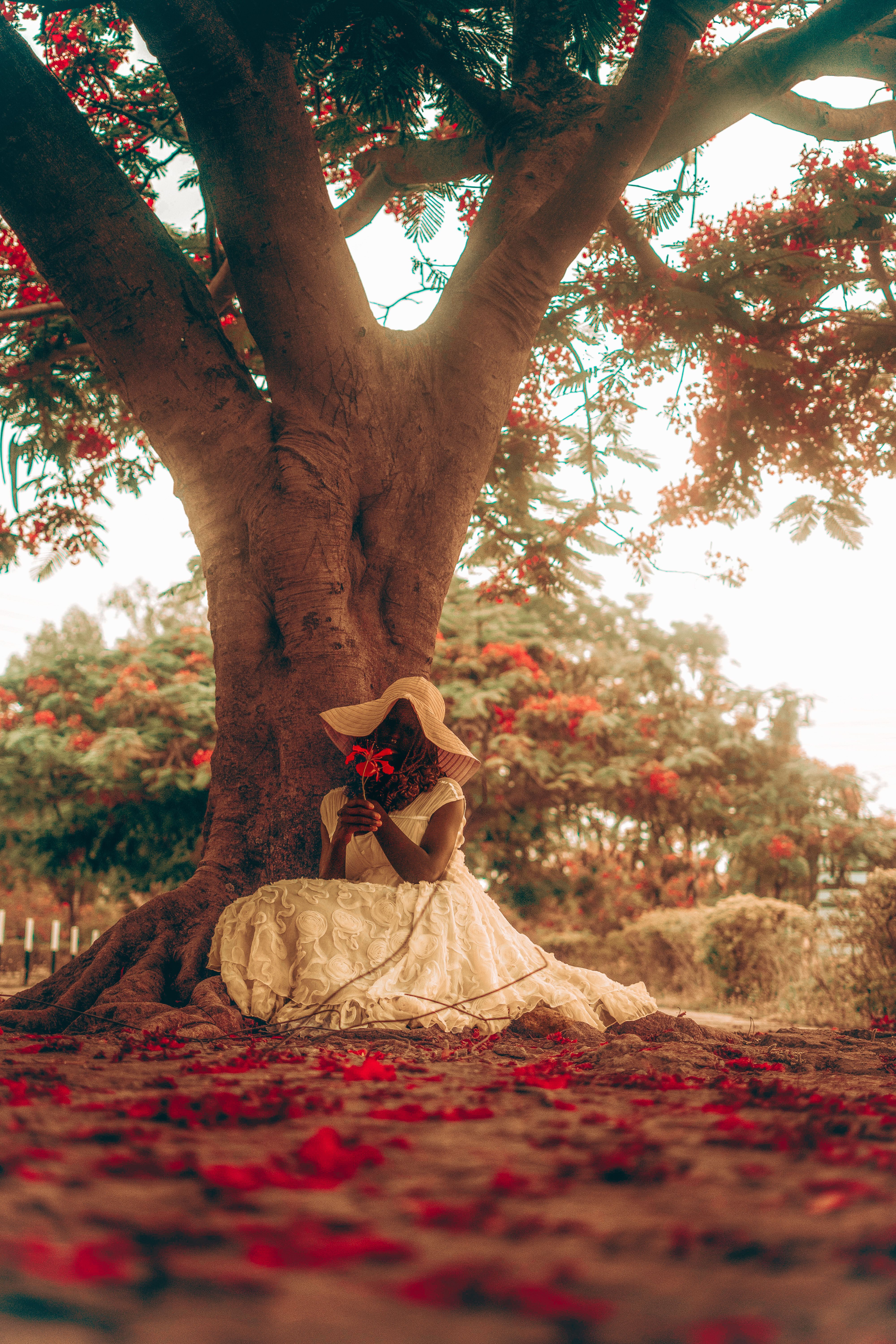 Woman in Hat and White Dress Sitting under Tree · Free Stock Photo