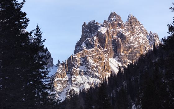 Breathtaking view of the majestic Dolomite mountains during winter, framed by evergreen trees.