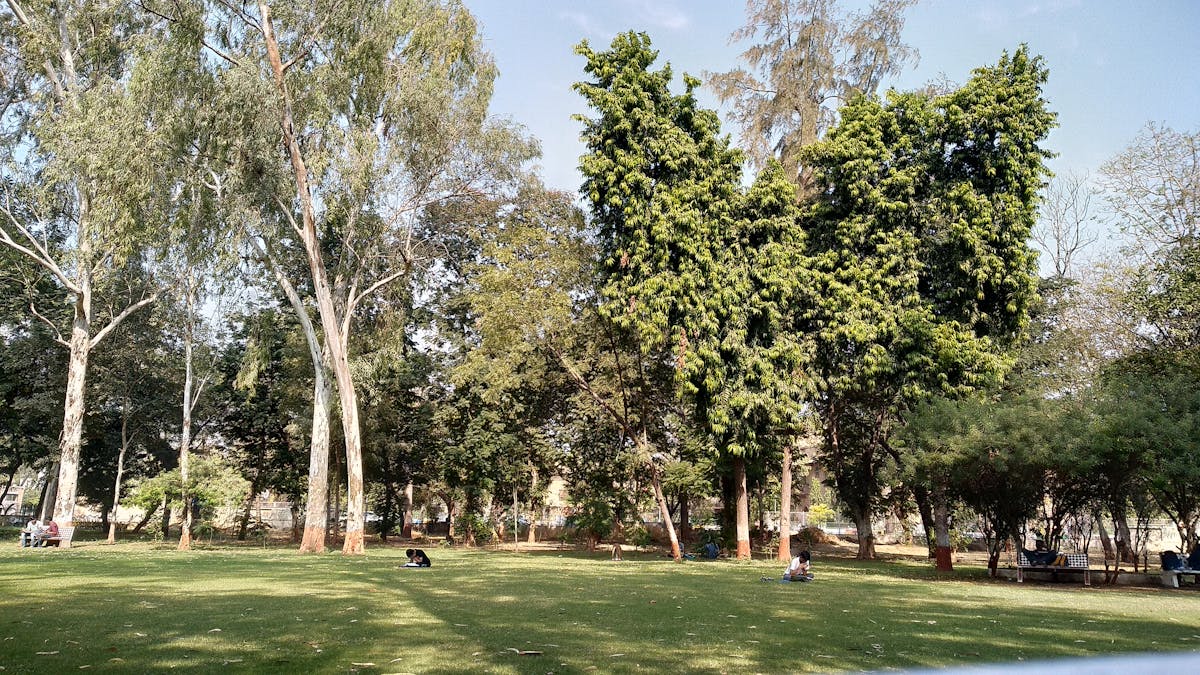 Close-up of a microphone on stage with blurred concert lights in the background