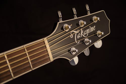 Free Brown and Black Takamine Guitar Headstock Stock Photo