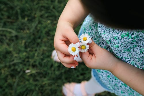 Immagine gratuita di bambino, bianco, fiori