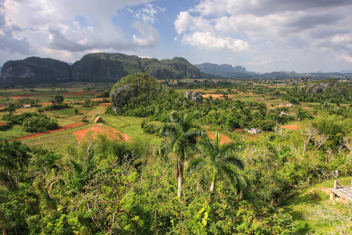 Free Vinales Valley on Cuba Stock Photo