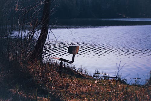 Immagine gratuita di acqua, lakeside, natura