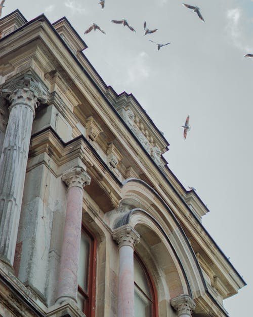 건물, 기둥, 날으는의 무료 스톡 사진