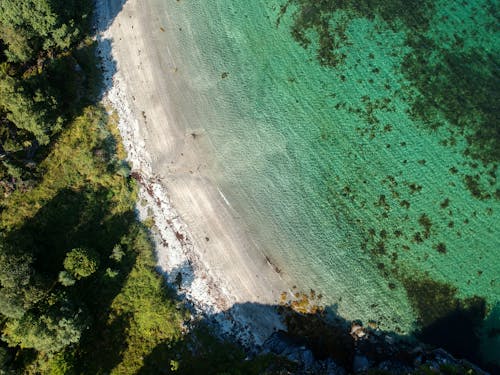 Imagine de stoc gratuită din arbori, coastă, fotografie cu drona