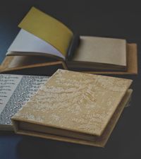 Book cover artwork — Cecilia Miraldi on Pexels