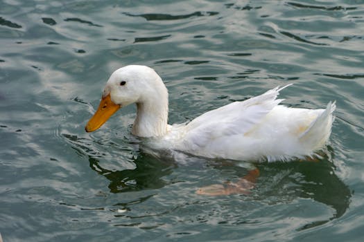 Image by Andy Dufresne