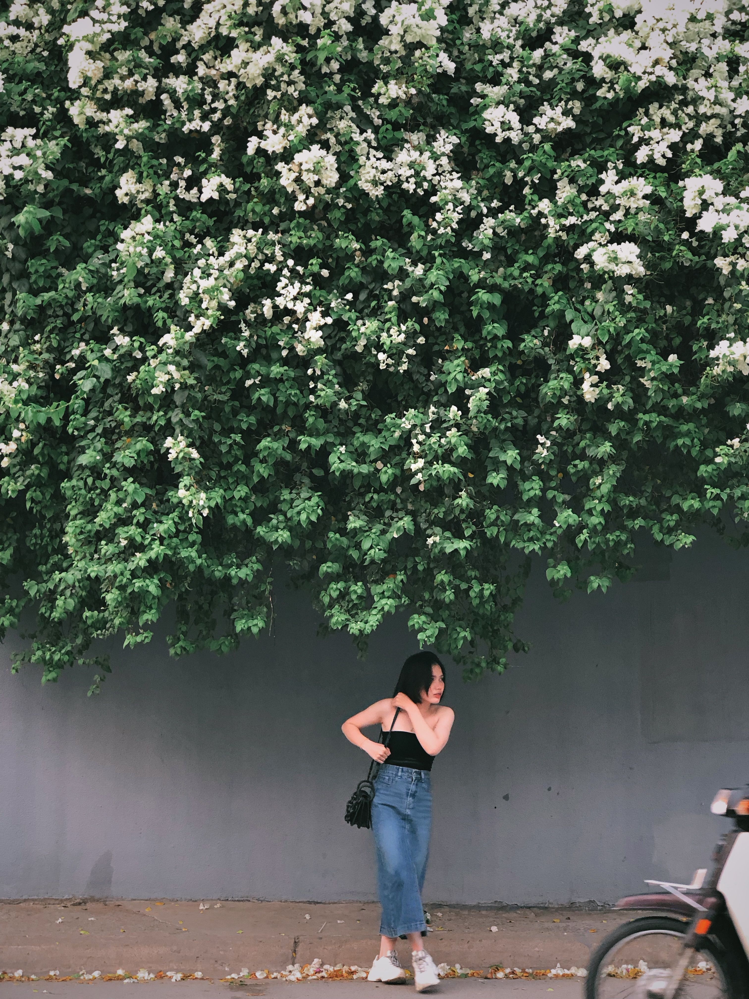 Woman Posing under Tree over Wall · Free Stock Photo