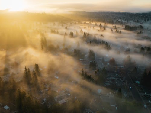 A sunrise over foggy trees and houses