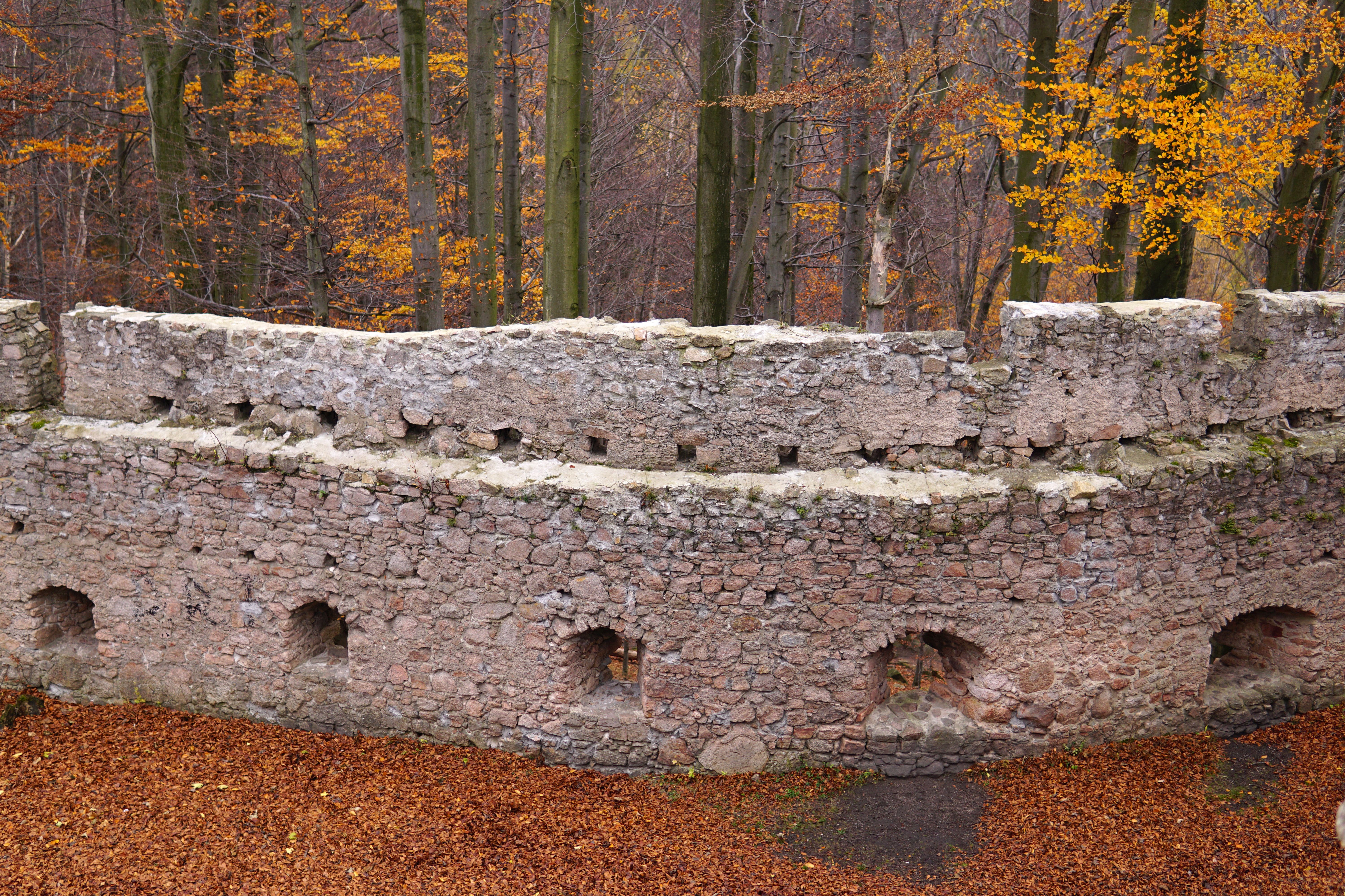 An old stone wall in the woods with trees · Free Stock Photo