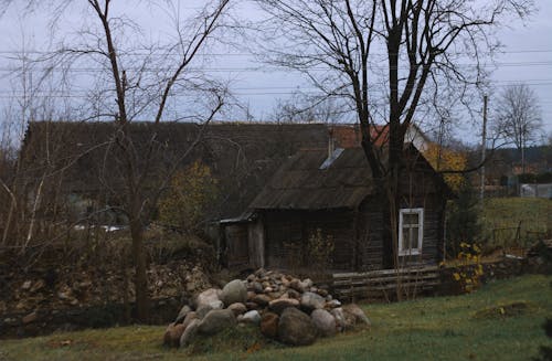 Δωρεάν στοκ φωτογραφιών με δέντρο, Λευκορωσία, ξυλόγλυπτο