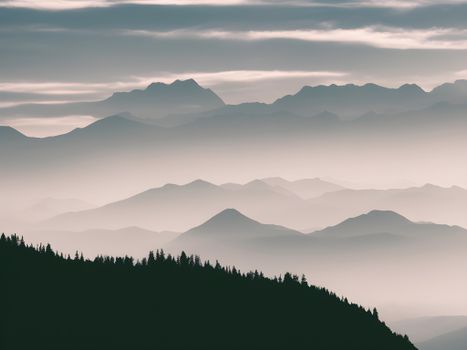 A tranquil view of mist-covered mountains and a forest under a cloudy sky.