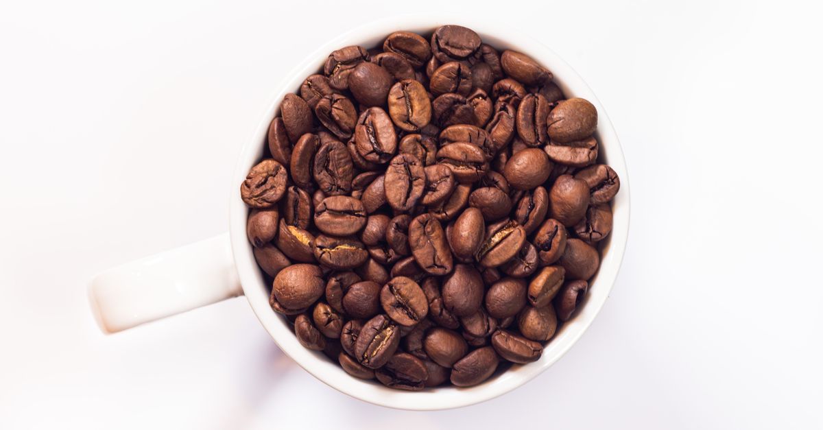 Meilleur café en grain 1kg : notre comparatif pour un espresso réussi