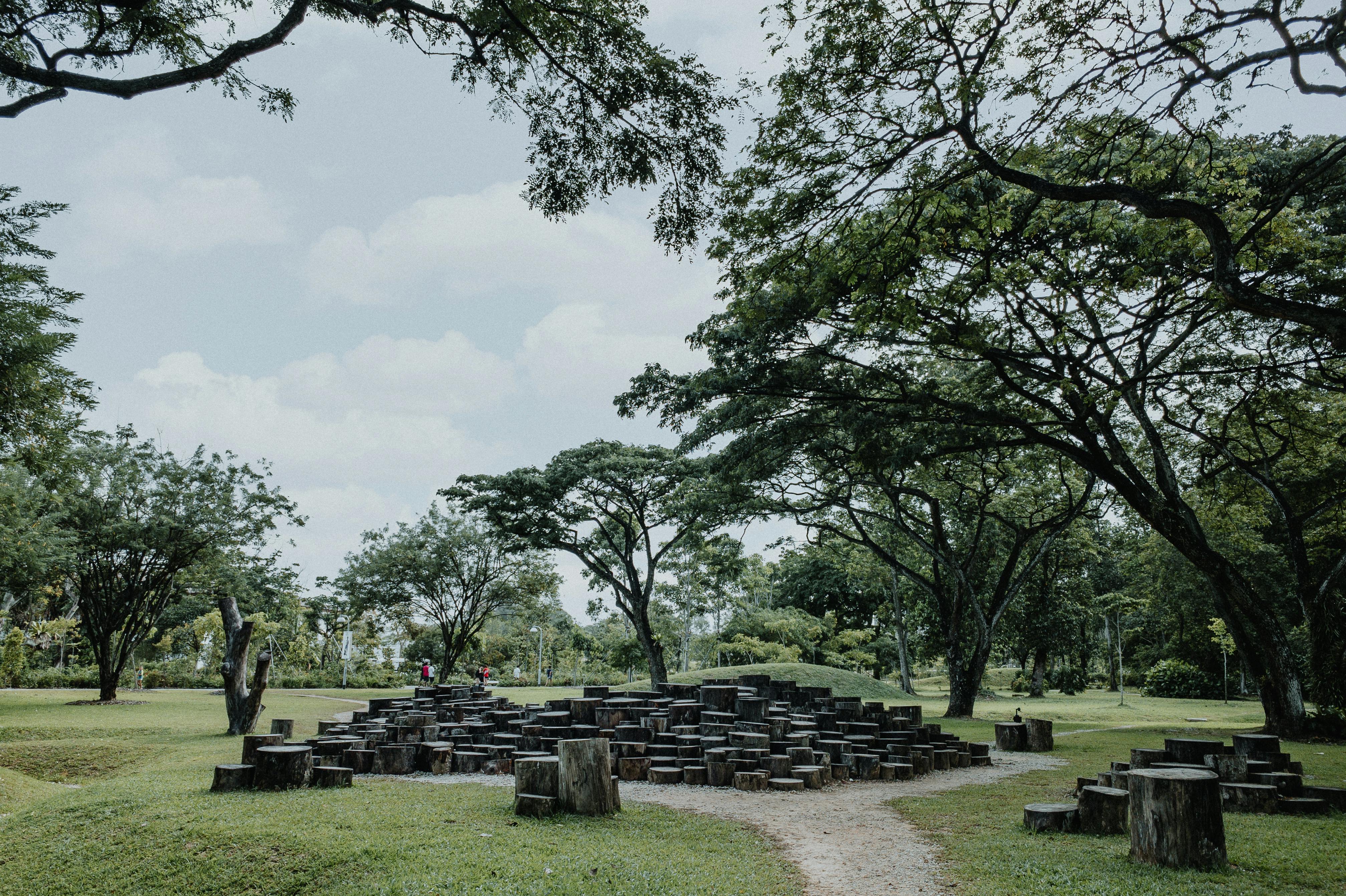 Woodlands