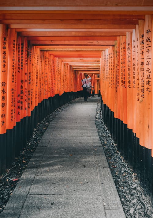 Fotobanka s bezplatnými fotkami na tému chodníky pre chodcov, fushimi inari svätyne, Japonsko