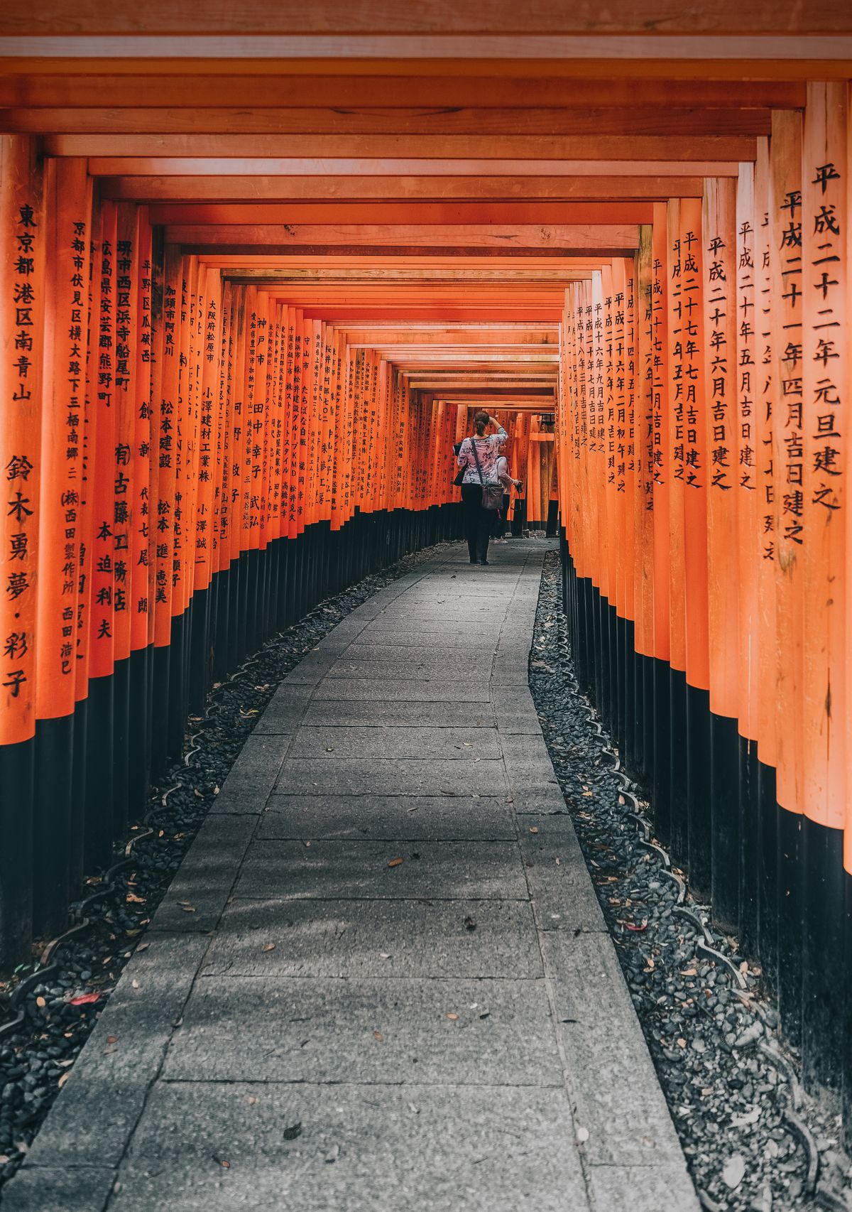 Woman Walking in Torii Gates · Free Stock Photo