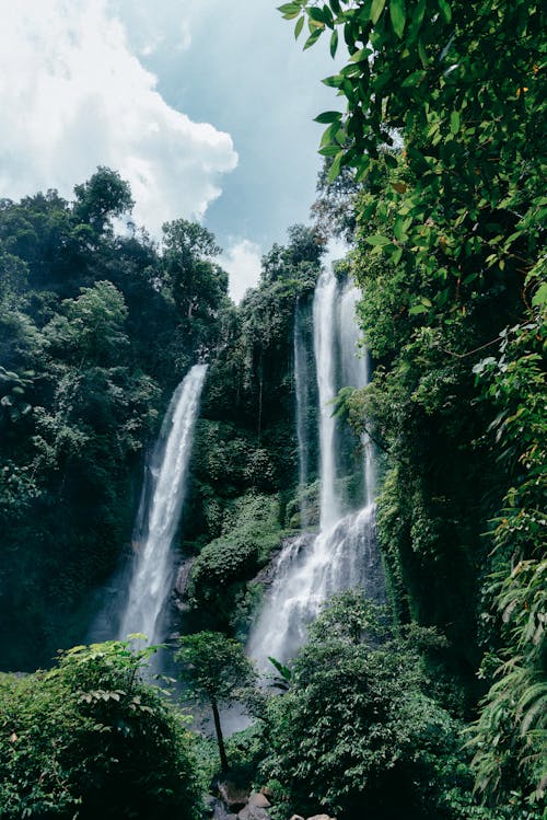 Scenic Waterfall in Lush Forest 