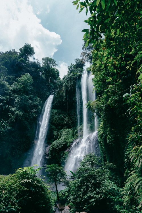 Free A stunning vertical waterfall cascading amidst a lush green forest, creating an idyllic scenic view. Stock Photo