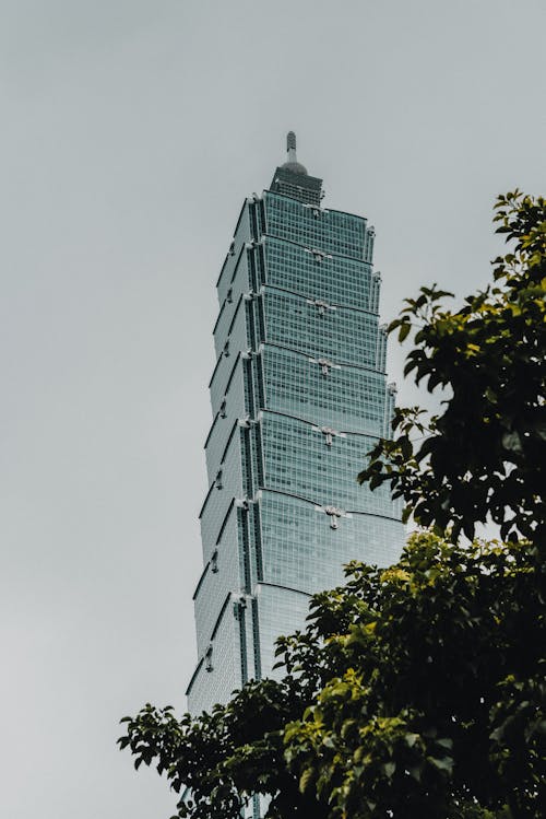 Low Angle View of a Modern Skyscraper 