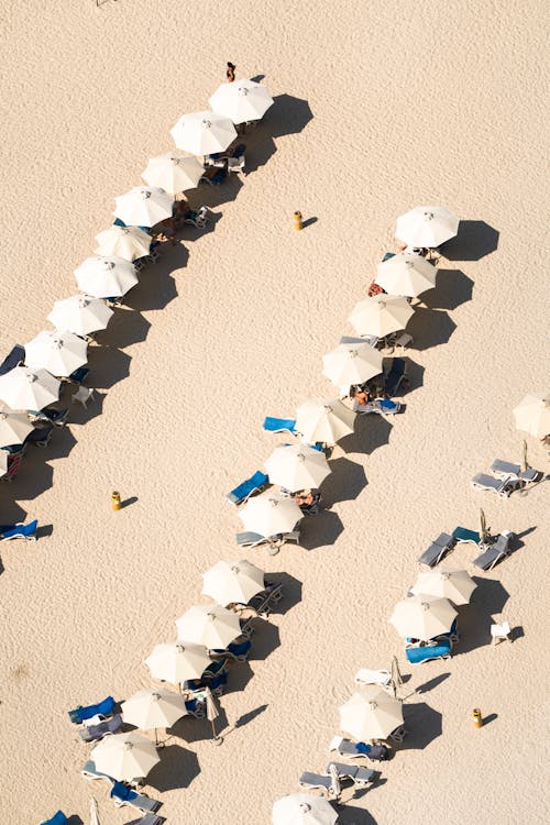 Drone Shot of Sunshades at Beach