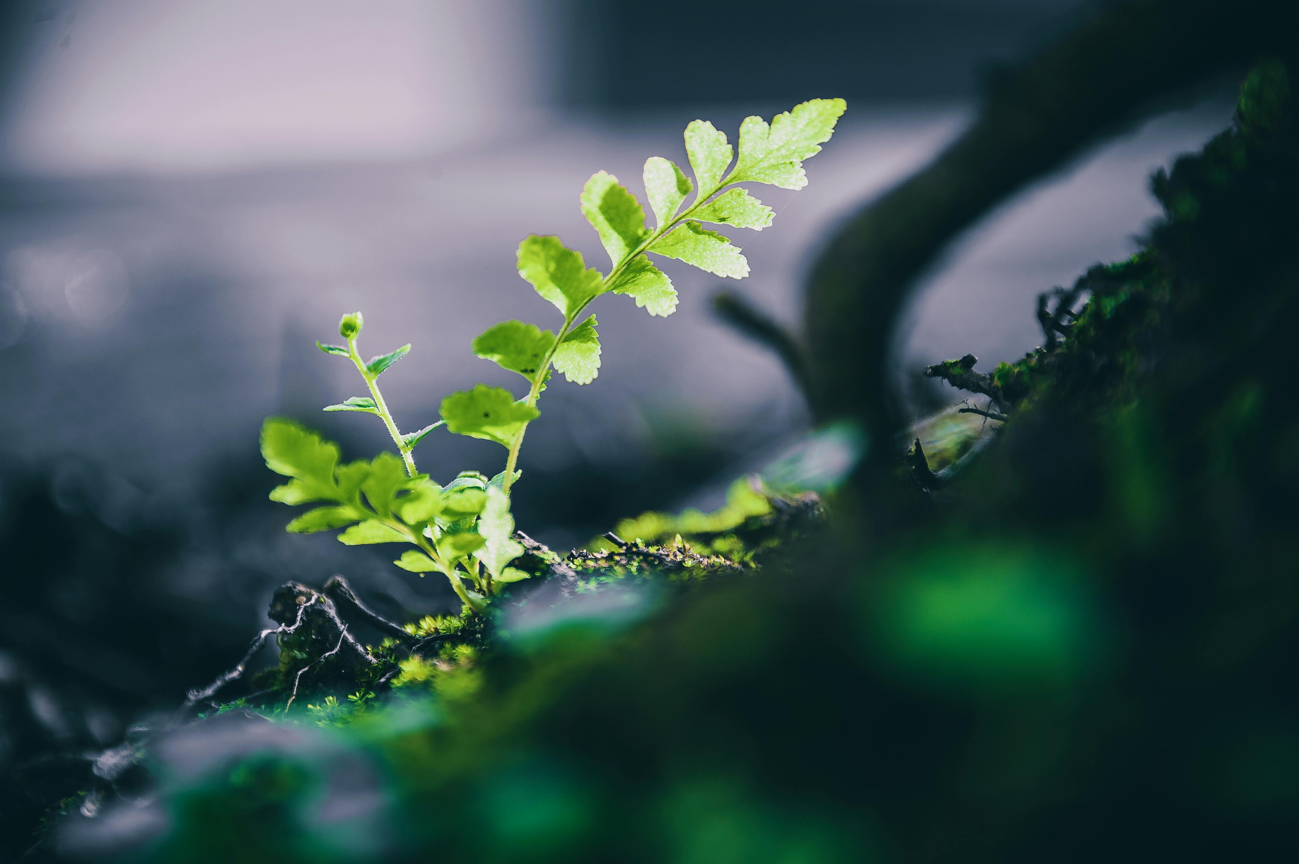 corporate governance esg esg what is governance — Photo by Min An on Pexels