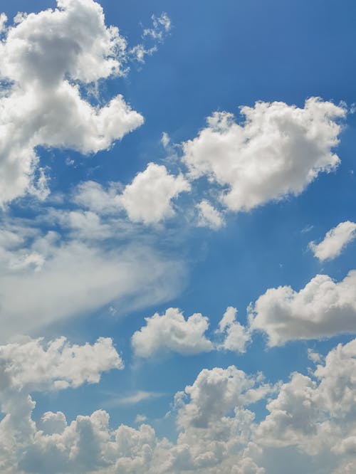 Základová fotografie zdarma na téma bílé mraky, modrá obloha, počasí