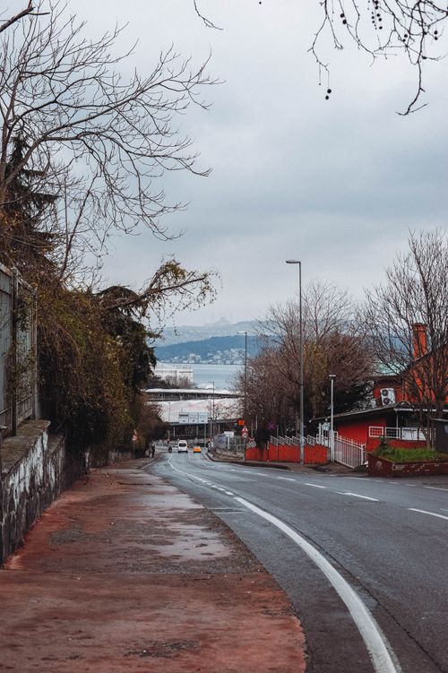 Free Calm city street scene with trees and buildings, captured on a cloudy day. Stock Photo
