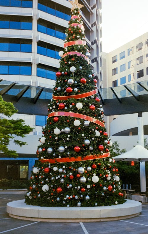 A large christmas tree is in front of a building