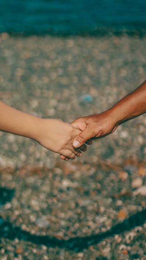 Close-up of an Adult and a Child Holding Hands 