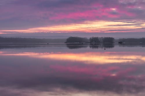 Fotos de stock gratuitas de anochecer, arboles, cielo morado