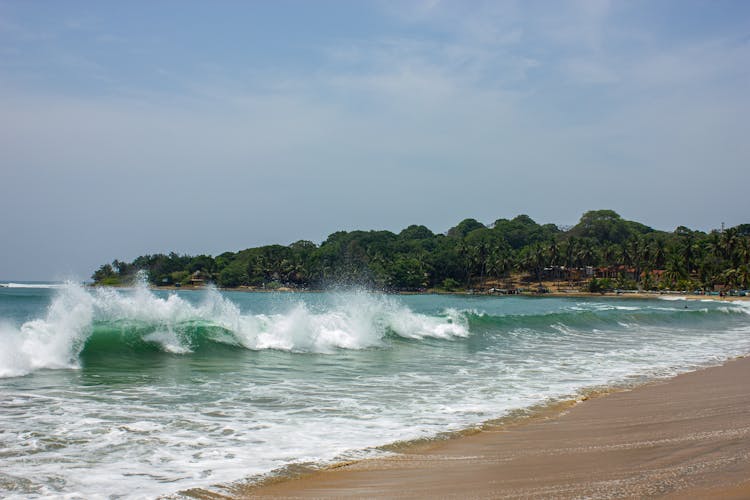 Splashing Ocean Wave