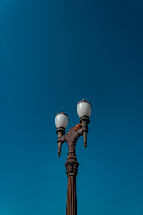 Základová fotografie zdarma na téma čisté nebe, klasický, pouliční lampa