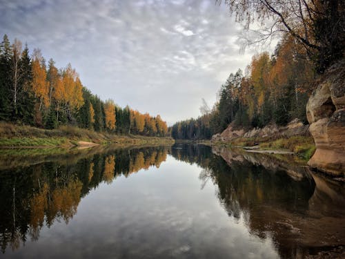 Gratis lagerfoto af efterår, falde, flod