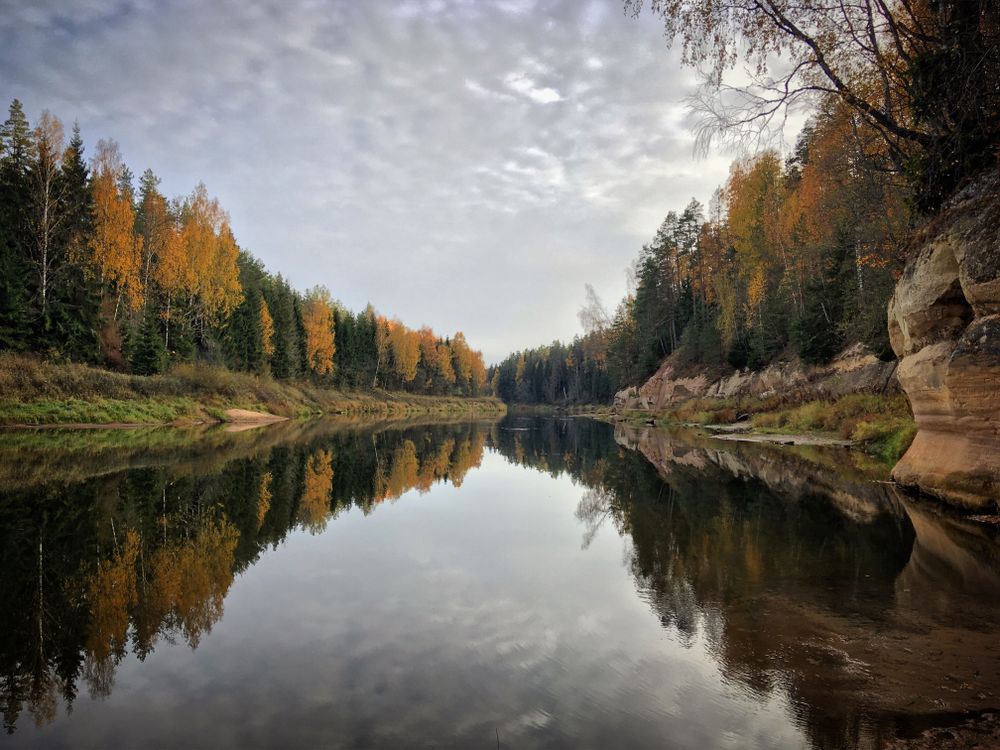 Forest Reflecting in River in Autumn · Free Stock Photo