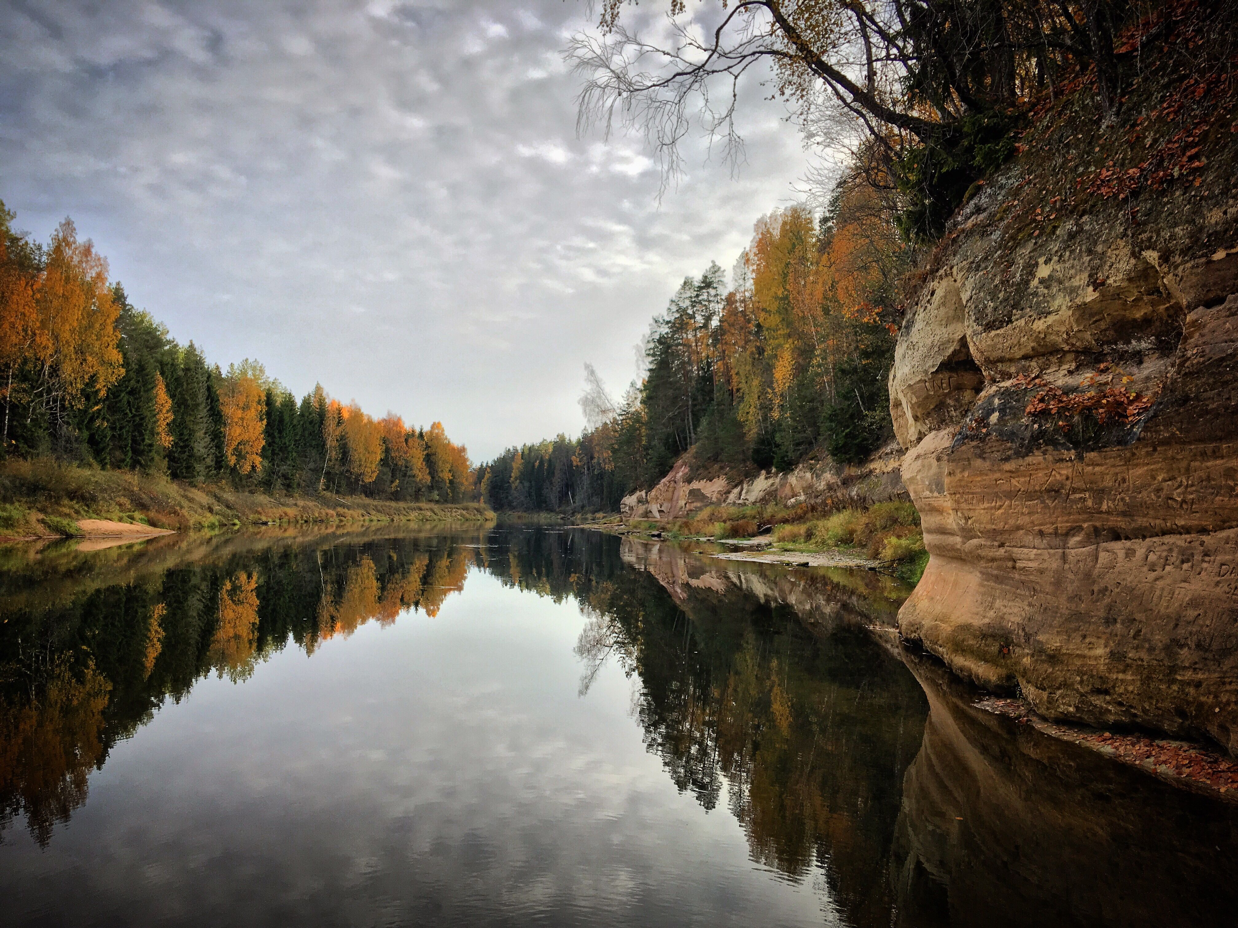 Gauja