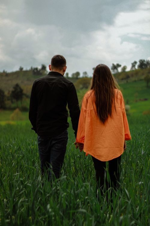 Free Back view of a couple holding hands in a lush green field on a cloudy day. Stock Photo
