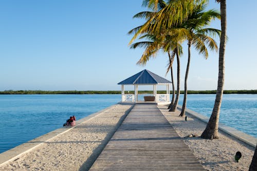 Wooden Gazebo and Palm Trees on Pier in Ocean