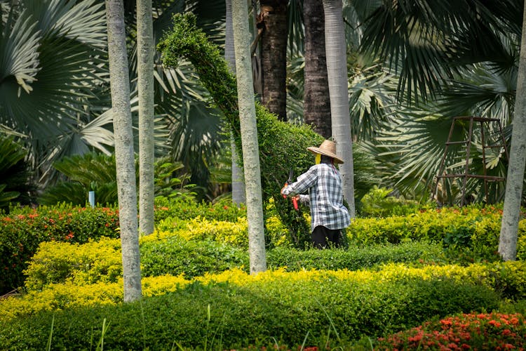 Person In Straw Hat Working In Tropical Garden