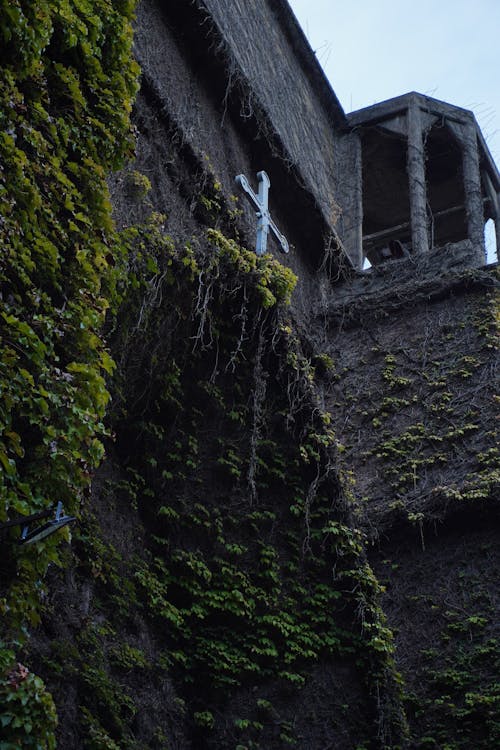 Fotos de stock gratuitas de arquitectura de la iglesia, atmosfera de outono, cruz