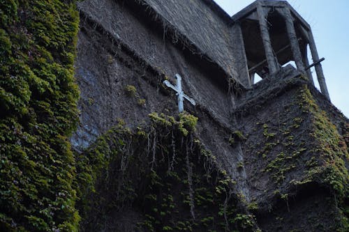 Gratis lagerfoto af arkitektonisk bygning, efterår, katolicisme