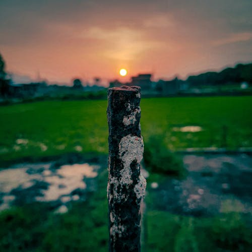 Fotos de stock gratuitas de amantes de la fotografía, amantes de la naturaleza, atardecer ig