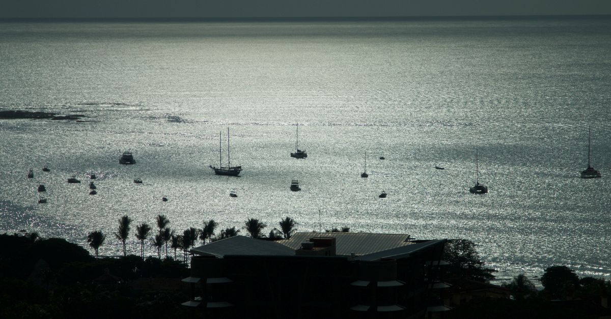 Tamarindo
