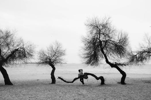 A black and white photo capturing a winter beach scene with a solitary person and bare trees.