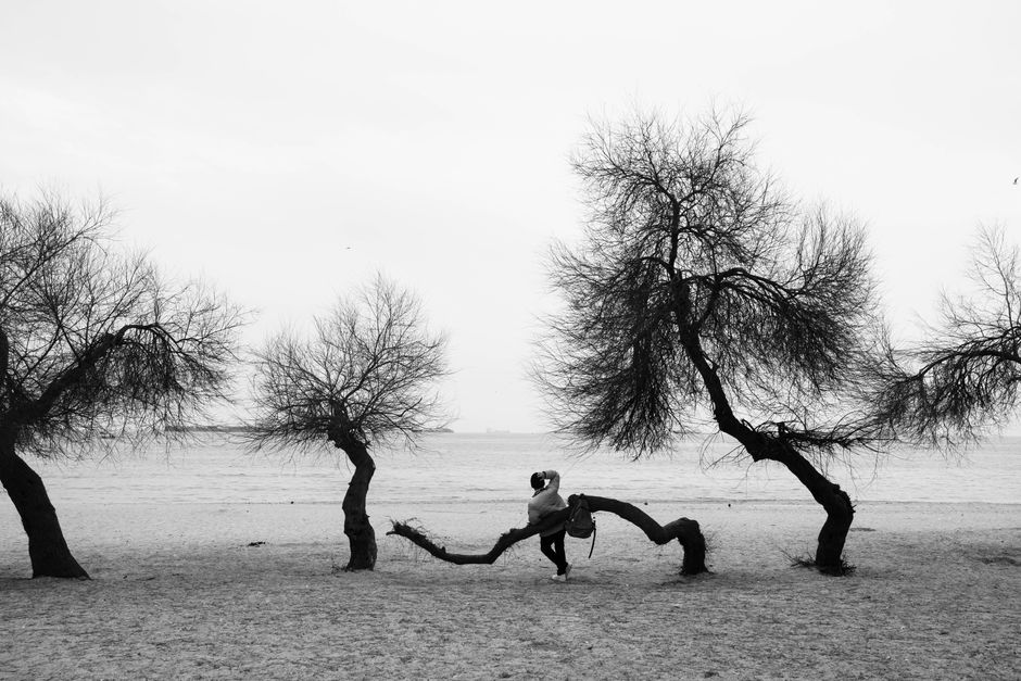 A black and white photo capturing a winter beach scene with a solitary person and bare trees.